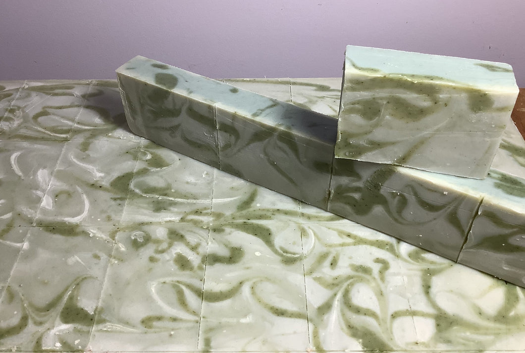 Fir Needle Juniper Cedar and Blue Clay