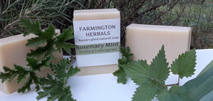 Rosemary Mint Nettle & Lemongrass Shampoo Bar